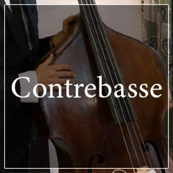 Contrebasse